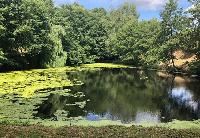 La Ferme du Cayla - Vacances en famille dans des gîtes cottages du sud de la France
