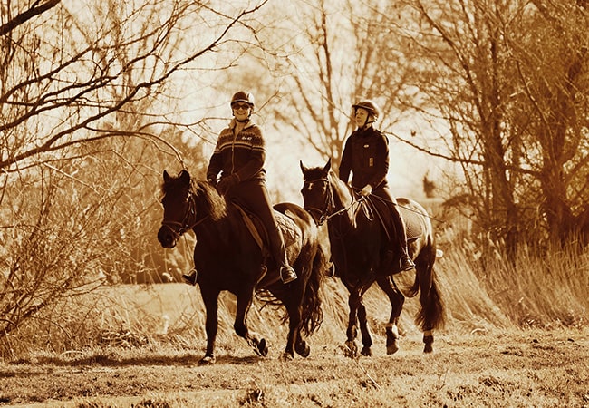 La Ferme du Cayla - Vacances en famille dans des gîtes cottages du sud de la France