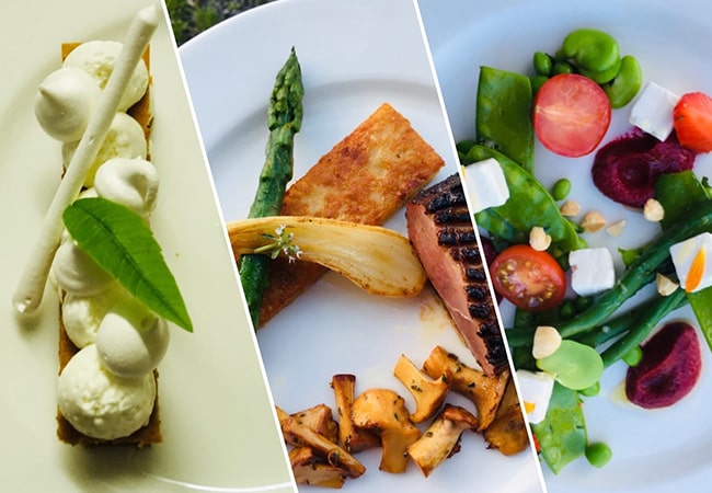 La Ferme du Cayla - Vacances en famille dans des gîtes cottages du sud de la France