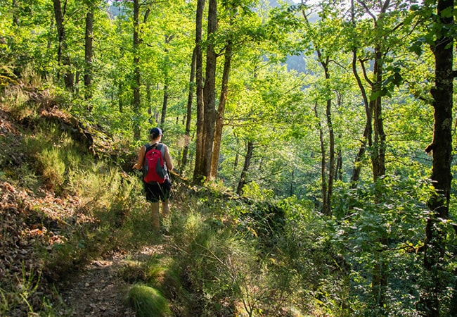 La Ferme du Cayla - Vacances en famille dans des gîtes cottages du sud de la France