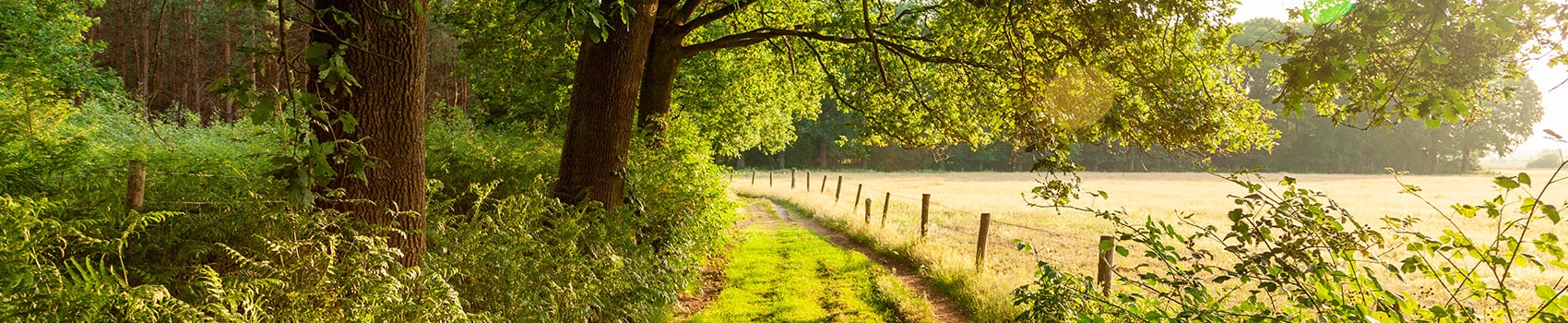 Séjour nature et vacances en famille dans le Lot