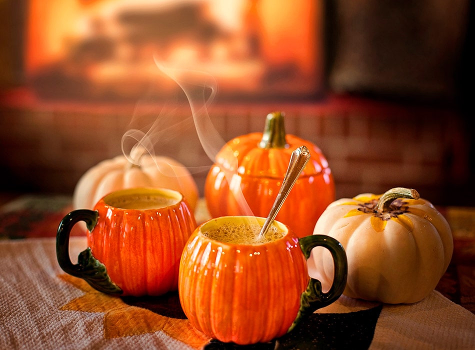 Family holiday package in the Lot