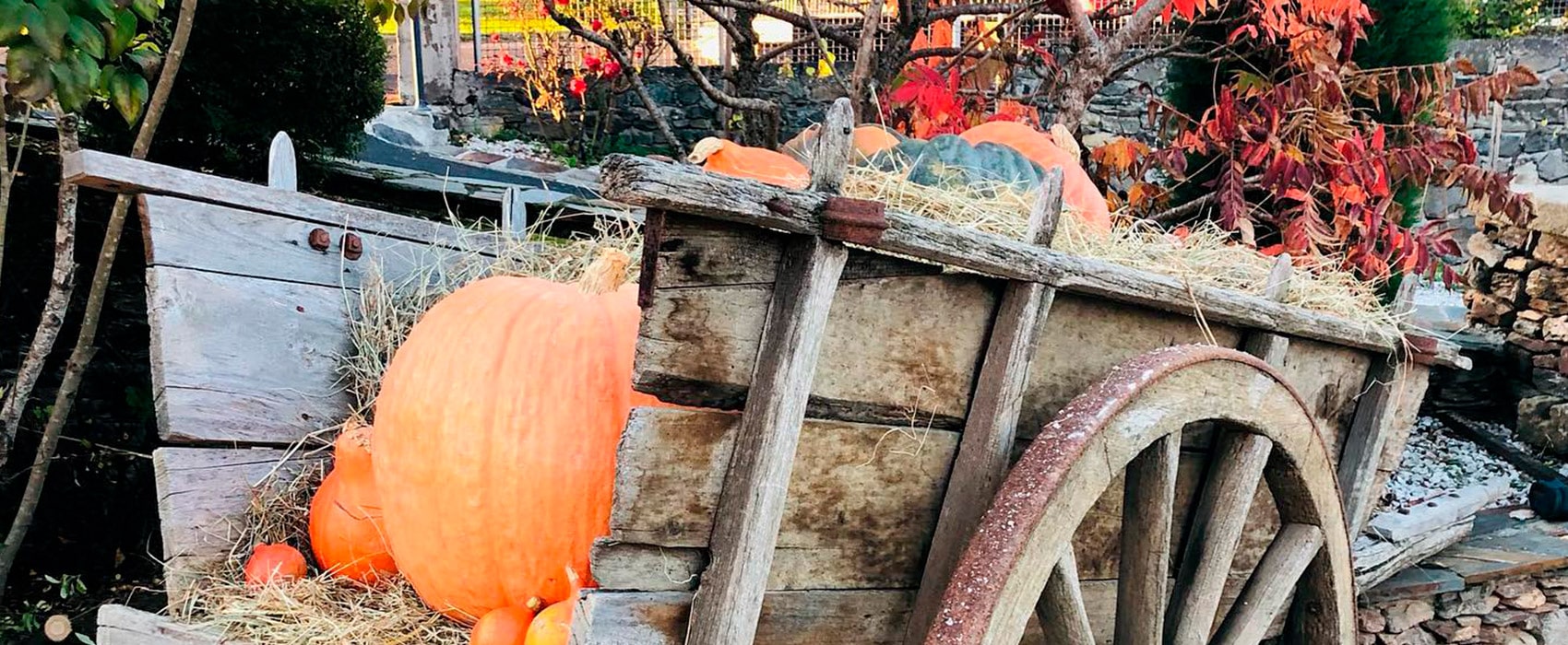 Family holiday package in the Lot