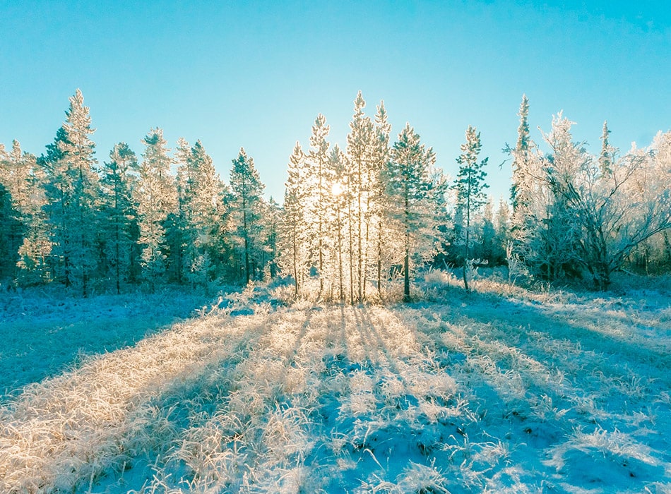 Family holiday package in the Lot