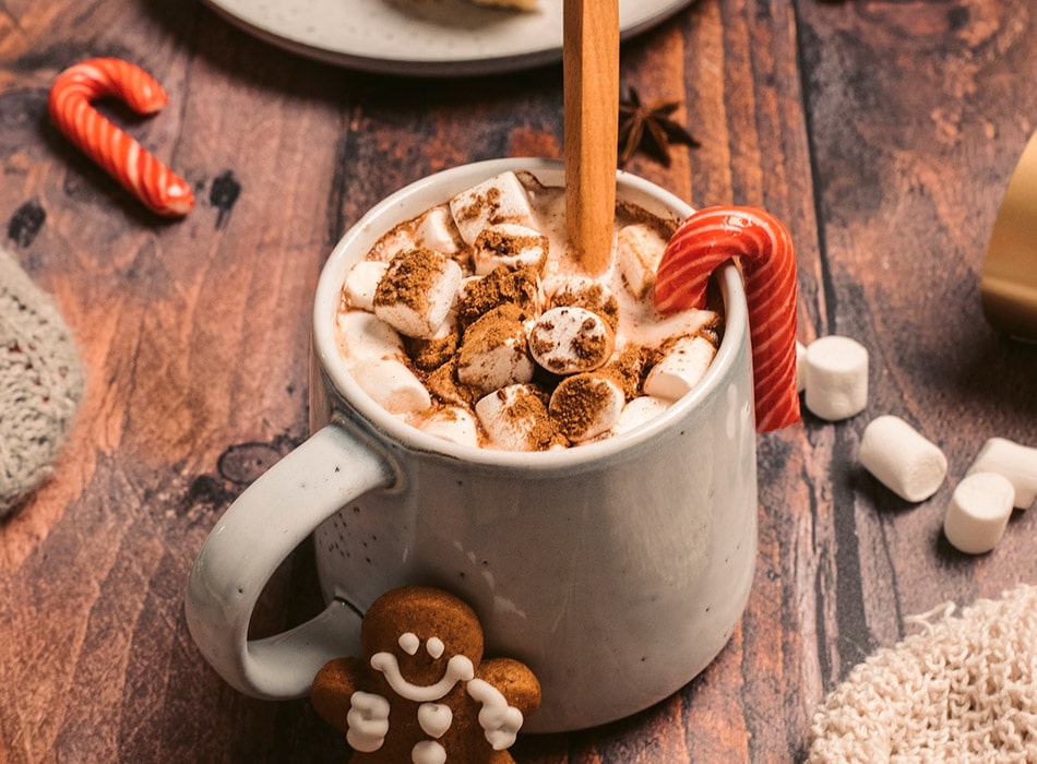 Family holiday package in the Lot