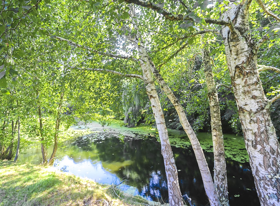 Forfait vacances pêche dans le Lot