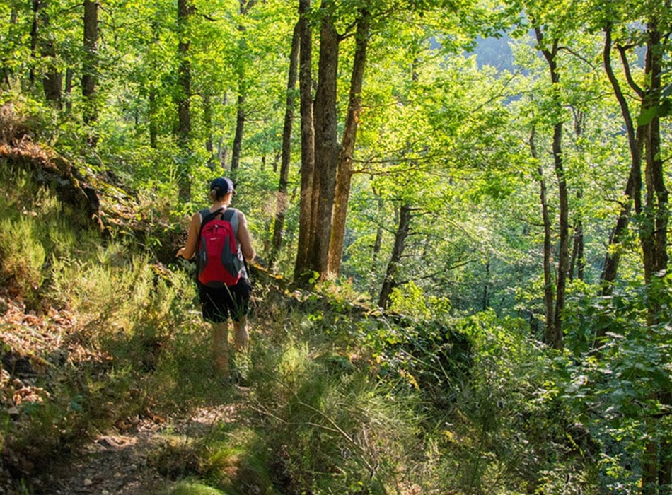 Forfait vacances randonnée dans le Lot